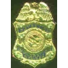 US IMMIGRATION DETENTION OFFICER BADGE PIN